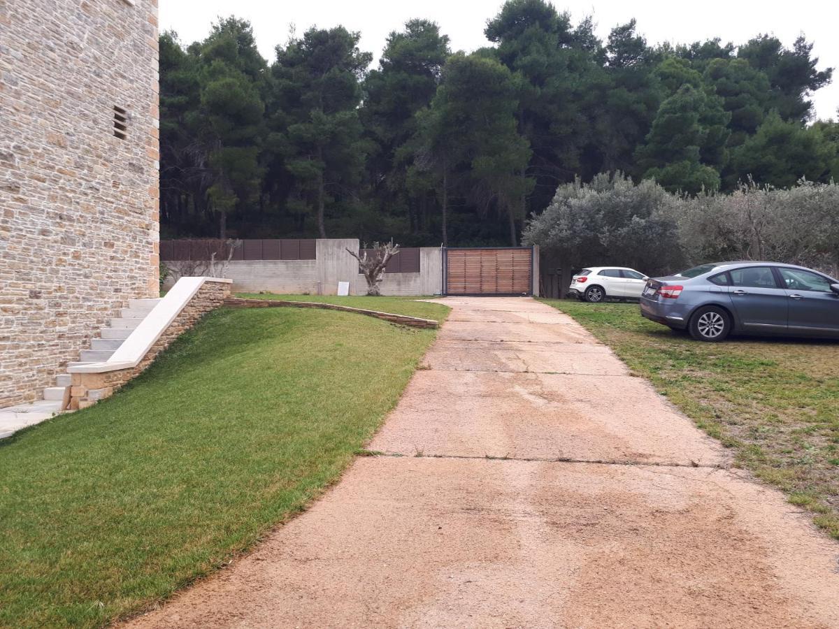 Villa Kalamos / Sea View And Pool Nearby Athens 외부 사진