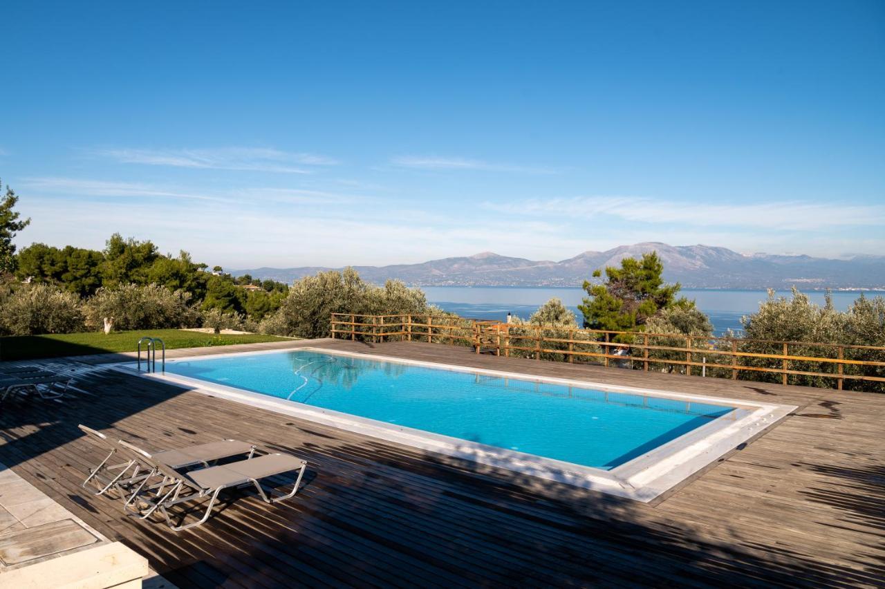 Villa Kalamos / Sea View And Pool Nearby Athens 외부 사진