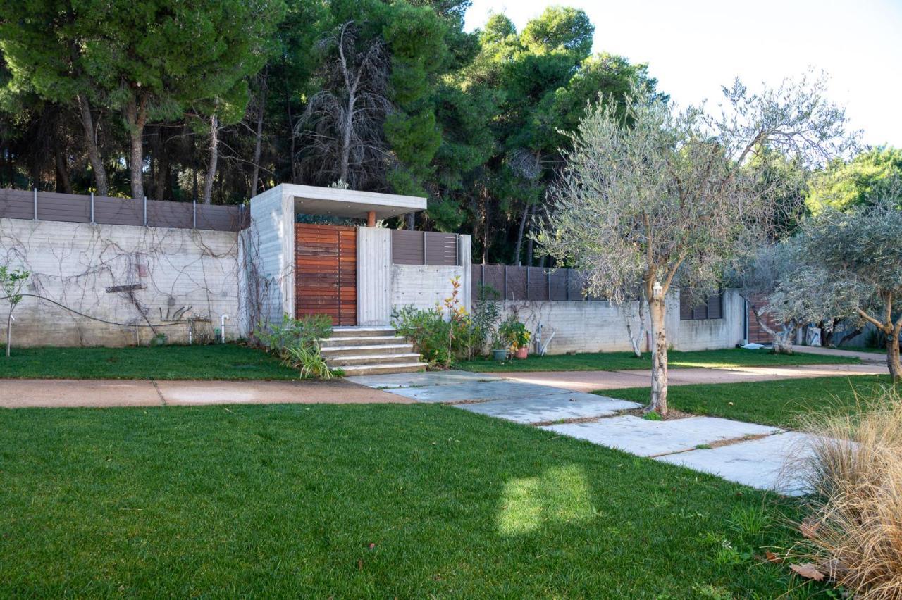 Villa Kalamos / Sea View And Pool Nearby Athens 외부 사진
