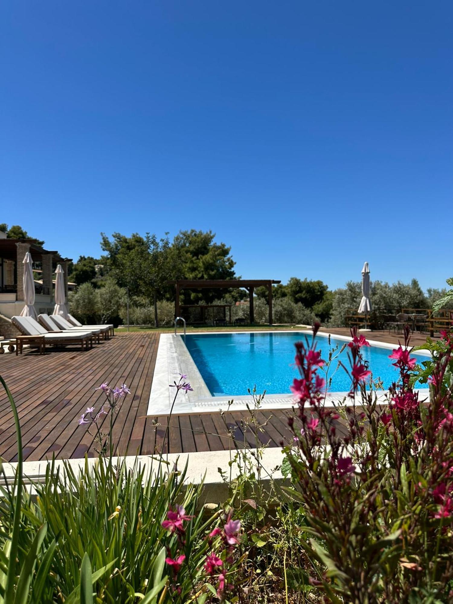 Villa Kalamos / Sea View And Pool Nearby Athens 외부 사진
